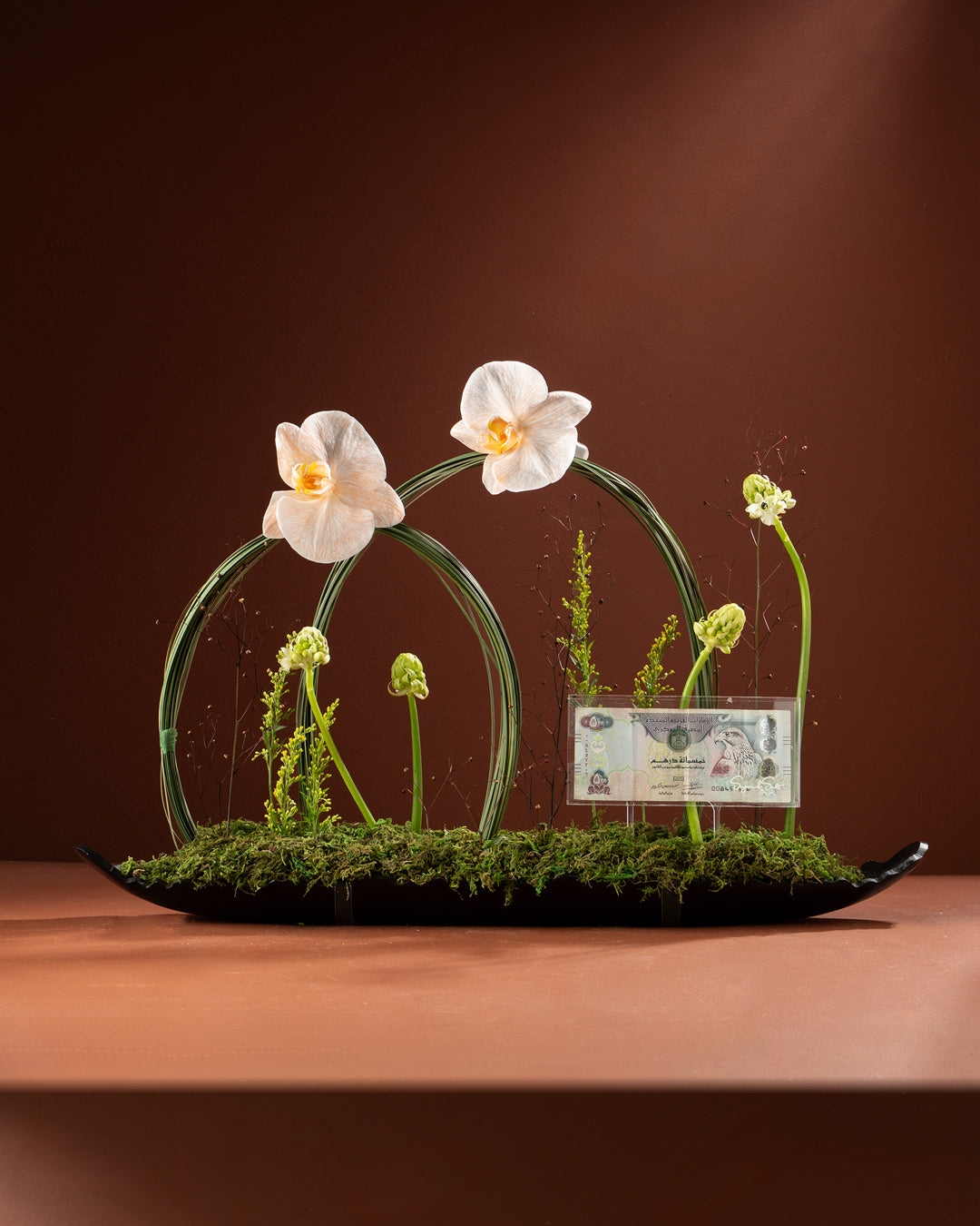 Decorative arrangement with flowers and a banknote on a brown background