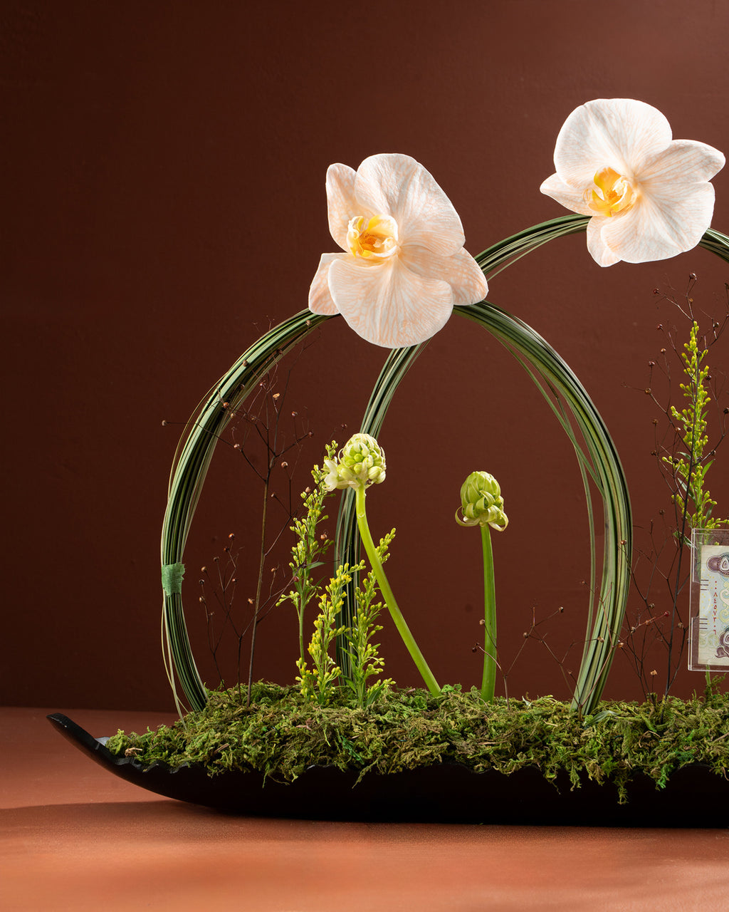 money plant arrangement Flower Arrangement with Money Box